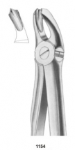  Fig. 18A upper molars 